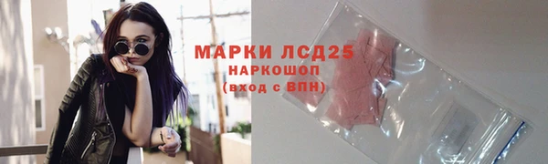 PSILOCYBIN Волосово