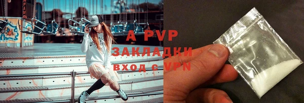 PSILOCYBIN Волосово