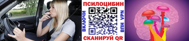 Псилоцибиновые грибы GOLDEN TEACHER Купить где Красноармейск